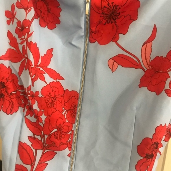 Adrianna‎ Papell pretty blue red roses asymmetrical flounce hem tulip Dress sz 2 - Picture 5 of 12